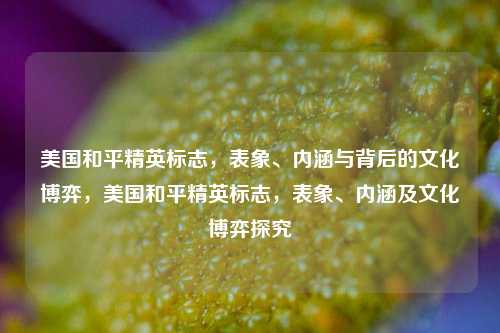 美国和平精英标志，表象、内涵与背后的文化博弈，美国和平精英标志，表象、内涵及文化博弈探究
