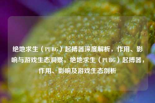 绝地求生（PUBG）起搏器深度解析，作用、影响与游戏生态洞察，绝地求生（PUBG）起搏器，作用、影响及游戏生态剖析