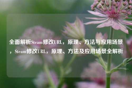 全面解析Steam修改URL，原理、方法与应用场景，Steam修改URL，原理、方法及应用场景全解析