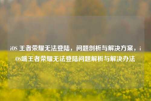 iOS 王者荣耀无法登陆，问题剖析与解决方案，iOS端王者荣耀无法登陆问题解析与解决办法