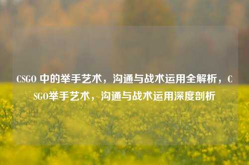 CSGO 中的举手艺术，沟通与战术运用全解析，CSGO举手艺术，沟通与战术运用深度剖析