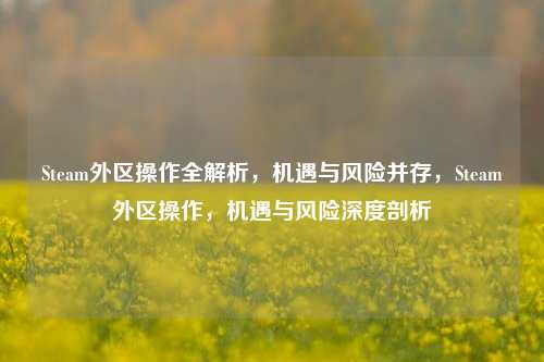Steam外区操作全解析，机遇与风险并存，Steam外区操作，机遇与风险深度剖析