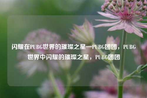 闪耀在PUBG世界的璀璨之星—PUBG团团，PUBG世界中闪耀的璀璨之星，PUBG团团