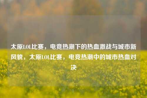 太原LOL比赛，电竞热潮下的热血激战与城市新风貌，太原LOL比赛，电竞热潮中的城市热血对决