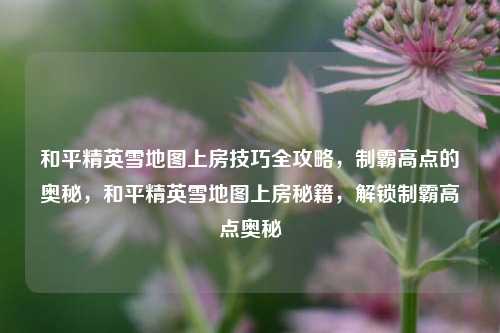 和平精英雪地图上房技巧全攻略，制霸高点的奥秘，和平精英雪地图上房秘籍，解锁制霸高点奥秘