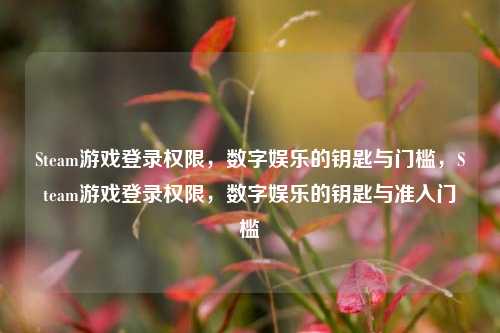 Steam游戏登录权限，数字娱乐的钥匙与门槛，Steam游戏登录权限，数字娱乐的钥匙与准入门槛