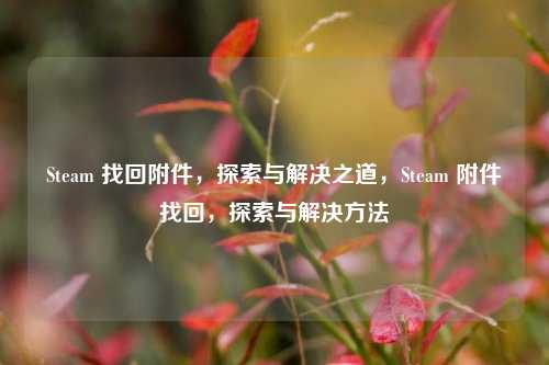 Steam 找回附件，探索与解决之道，Steam 附件找回，探索与解决方法