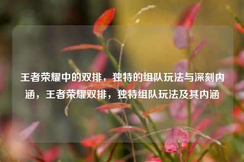王者荣耀中的双排，独特的组队玩法与深刻内涵，王者荣耀双排，独特组队玩法及其内涵