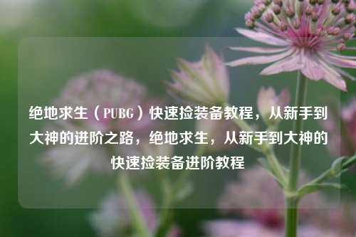 绝地求生（PUBG）快速捡装备教程，从新手到大神的进阶之路，绝地求生，从新手到大神的快速捡装备进阶教程