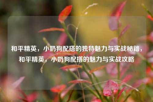 和平精英，小奶狗配搭的独特魅力与实战秘籍，和平精英，小奶狗配搭的魅力与实战攻略