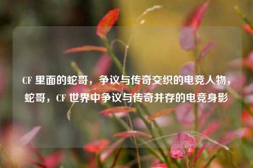 CF 里面的蛇哥，争议与传奇交织的电竞人物，蛇哥，CF 世界中争议与传奇并存的电竞身影