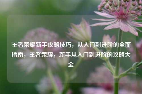 王者荣耀新手攻略技巧，从入门到进阶的全面指南，王者荣耀，新手从入门到进阶的攻略大全