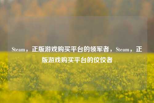 Steam，正版游戏购买平台的领军者，Steam，正版游戏购买平台的佼佼者