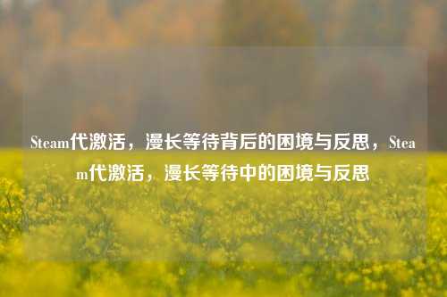 Steam代激活，漫长等待背后的困境与反思，Steam代激活，漫长等待中的困境与反思