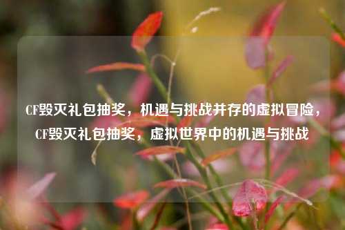 CF毁灭礼包抽奖，机遇与挑战并存的虚拟冒险，CF毁灭礼包抽奖，虚拟世界中的机遇与挑战