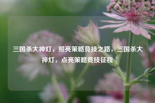 三国杀大神灯，照亮策略竞技之路，三国杀大神灯，点亮策略竞技征程