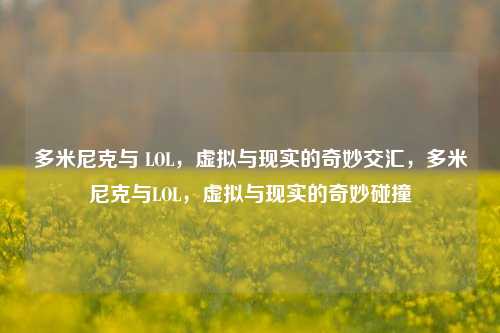 多米尼克与 LOL，虚拟与现实的奇妙交汇，多米尼克与LOL，虚拟与现实的奇妙碰撞