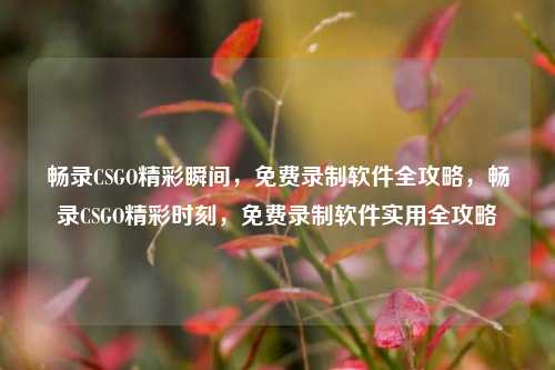 畅录CSGO精彩瞬间，免费录制软件全攻略，畅录CSGO精彩时刻，免费录制软件实用全攻略