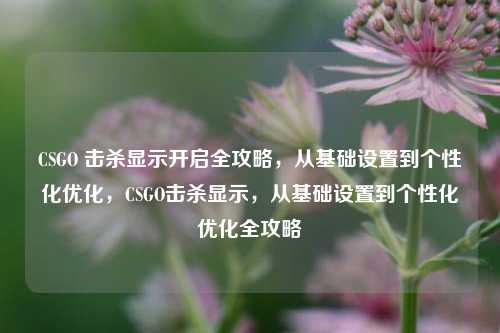 CSGO 击杀显示开启全攻略，从基础设置到个性化优化，CSGO击杀显示，从基础设置到个性化优化全攻略