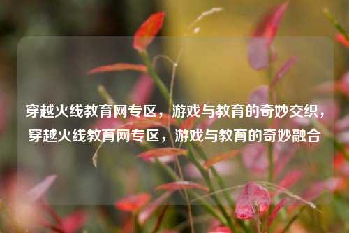 穿越火线教育网专区，游戏与教育的奇妙交织，穿越火线教育网专区，游戏与教育的奇妙融合