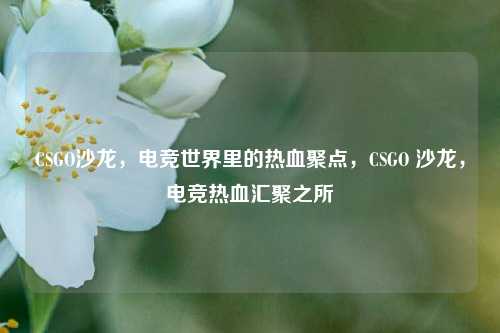 CSGO沙龙，电竞世界里的热血聚点，CSGO 沙龙，电竞热血汇聚之所