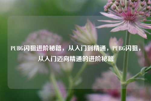 PUBG闪狙进阶秘籍，从入门到精通，PUBG闪狙，从入门迈向精通的进阶秘籍