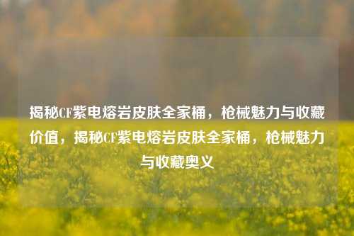 揭秘CF紫电熔岩皮肤全家桶，枪械魅力与收藏价值，揭秘CF紫电熔岩皮肤全家桶，枪械魅力与收藏奥义