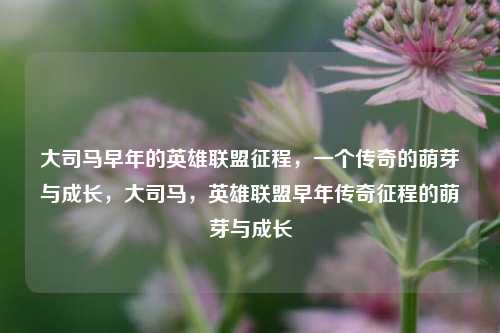 大司马早年的英雄联盟征程，一个传奇的萌芽与成长，大司马，英雄联盟早年传奇征程的萌芽与成长