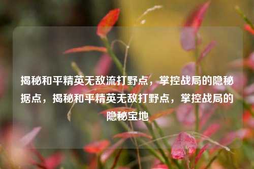 揭秘和平精英无敌流打野点，掌控战局的隐秘据点，揭秘和平精英无敌打野点，掌控战局的隐秘宝地
