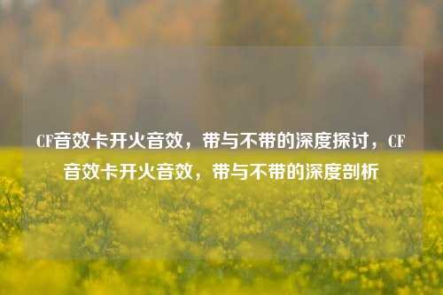 CF音效卡开火音效，带与不带的深度探讨，CF音效卡开火音效，带与不带的深度剖析