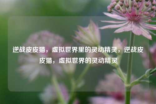 逆战皮皮猫，虚拟世界里的灵动精灵，逆战皮皮猫，虚拟世界的灵动精灵