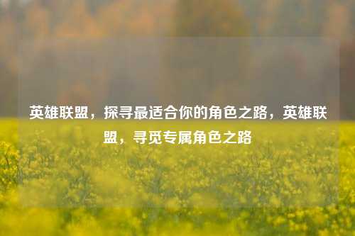 英雄联盟，探寻最适合你的角色之路，英雄联盟，寻觅专属角色之路