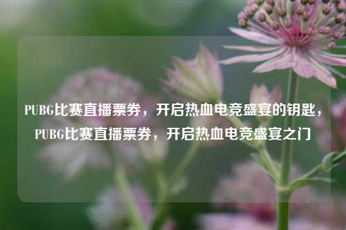 PUBG比赛直播票券，开启热血电竞盛宴的钥匙，PUBG比赛直播票券，开启热血电竞盛宴之门