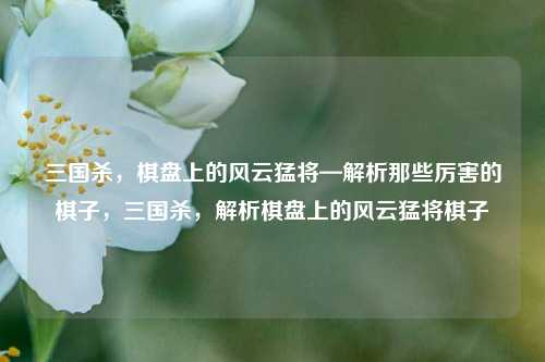 三国杀,棋盘上的风云猛将—解析那些厉害的棋子,三国杀,解析棋盘上的风云猛将棋子