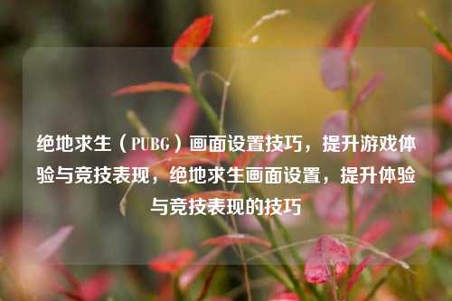 绝地求生（PUBG）画面设置技巧，提升游戏体验与竞技表现，绝地求生画面设置，提升体验与竞技表现的技巧