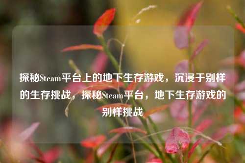 探秘Steam平台上的地下生存游戏，沉浸于别样的生存挑战，探秘Steam平台，地下生存游戏的别样挑战