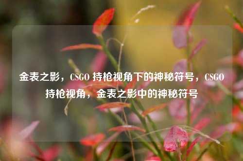 金表之影,CSGO 持枪视角下的神秘符号,CSGO持枪视角,金表之影中的神秘符号