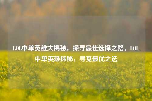 LOL中单英雄大揭秘，探寻最佳选择之路，LOL中单英雄探秘，寻觅最优之选