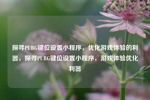 探寻PUBG键位设置小程序，优化游戏体验的利器，探寻PUBG键位设置小程序，游戏体验优化利器