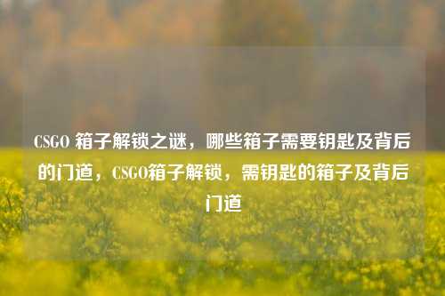 CSGO 箱子解锁之谜，哪些箱子需要钥匙及背后的门道，CSGO箱子解锁，需钥匙的箱子及背后门道