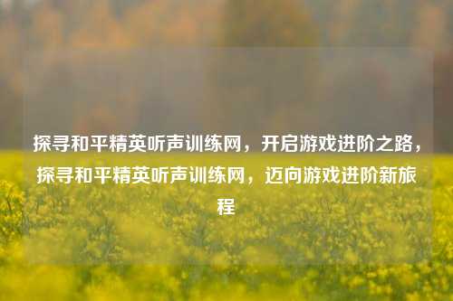 探寻和平精英听声训练网，开启游戏进阶之路，探寻和平精英听声训练网，迈向游戏进阶新旅程