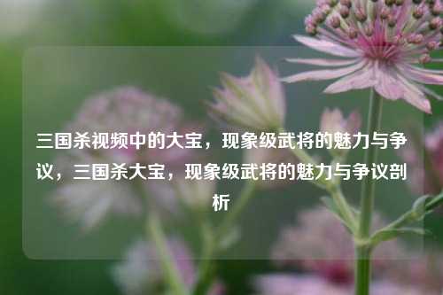三国杀视频中的大宝，现象级武将的魅力与争议，三国杀大宝，现象级武将的魅力与争议剖析
