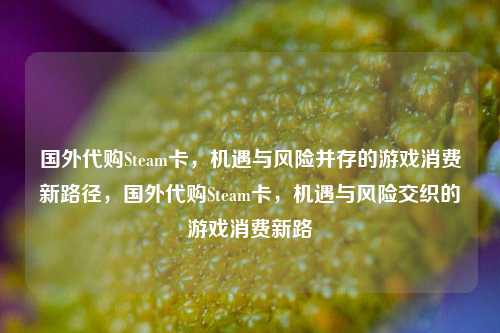 国外代购Steam卡，机遇与风险并存的游戏消费新路径，国外代购Steam卡，机遇与风险交织的游戏消费新路