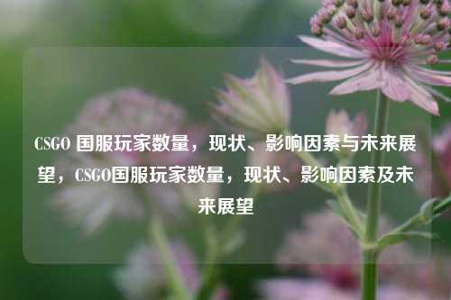 CSGO 国服玩家数量,现状、影响因素与未来展望,CSGO国服玩家数量,现状、影响因素及未来展望
