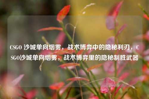 CSGO 沙城单向烟雾，战术博弈中的隐秘利刃，CSGO沙城单向烟雾，战术博弈里的隐秘制胜武器