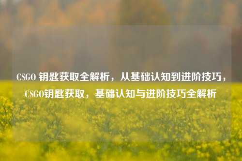 CSGO 钥匙获取全解析，从基础认知到进阶技巧，CSGO钥匙获取，基础认知与进阶技巧全解析