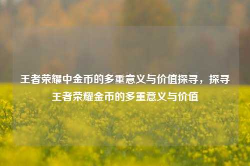 王者荣耀中金币的多重意义与价值探寻，探寻王者荣耀金币的多重意义与价值