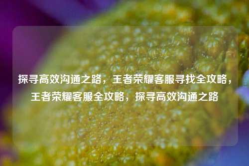 探寻高效沟通之路，王者荣耀客服寻找全攻略，王者荣耀客服全攻略，探寻高效沟通之路