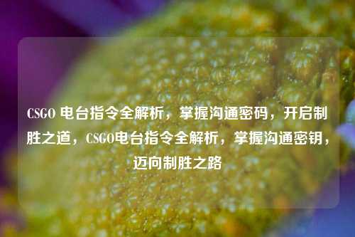 CSGO 电台指令全解析，掌握沟通密码，开启制胜之道，CSGO电台指令全解析，掌握沟通密钥，迈向制胜之路