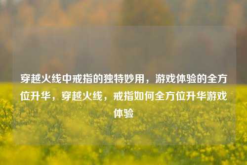 穿越火线中戒指的独特妙用，游戏体验的全方位升华，穿越火线，戒指如何全方位升华游戏体验